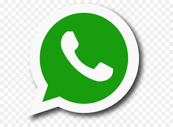 WhatsApp Email Web design Message Icon - Whatsapp Transparent 