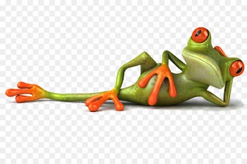 WhatsApp Hindi Humour Joke - frog 
