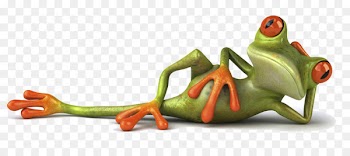 WhatsApp Hindi Quotation Humour - frog 