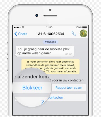 WhatsApp Message Telephone iPhone mSpy - whatsapp 