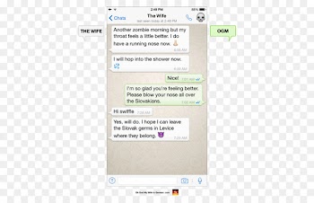 WhatsApp Message Text messaging Love Online chat - whatsapp 