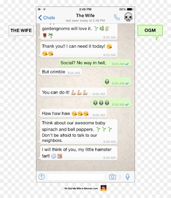 WhatsApp Message Text messaging Love SMS - whatsapp 