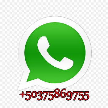 WhatsApp Messaging apps Instant messaging Android - whatsapp 