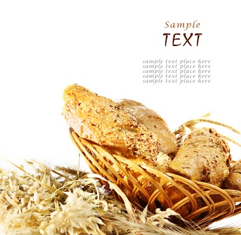 Wheat and bread over white background