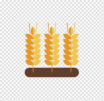 Wheat Animation , Yellow Cartoon Wheat Three transparent background PNG clipart