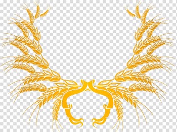 Wheat beer Cereal , wheat transparent background PNG clipart