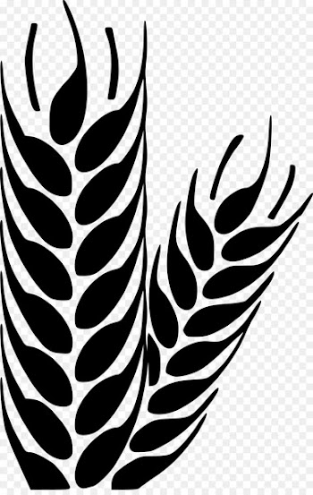 Wheat, Cereal, Computer Icons, Leaf, Blackandwhite PNG