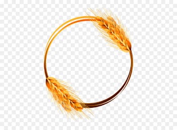 Wheat Cereal Ear - Vector golden wheat 
