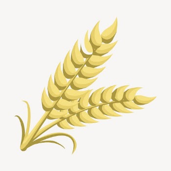 Wheat clipart, food illustration vector. | Free Vector - rawpixel