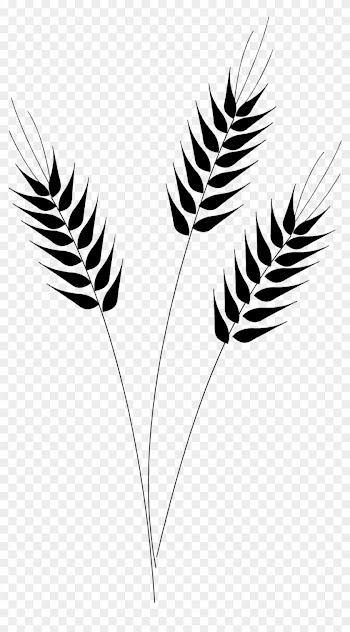 Wheat Clipart Transparent - Wheat Clipart Black And White