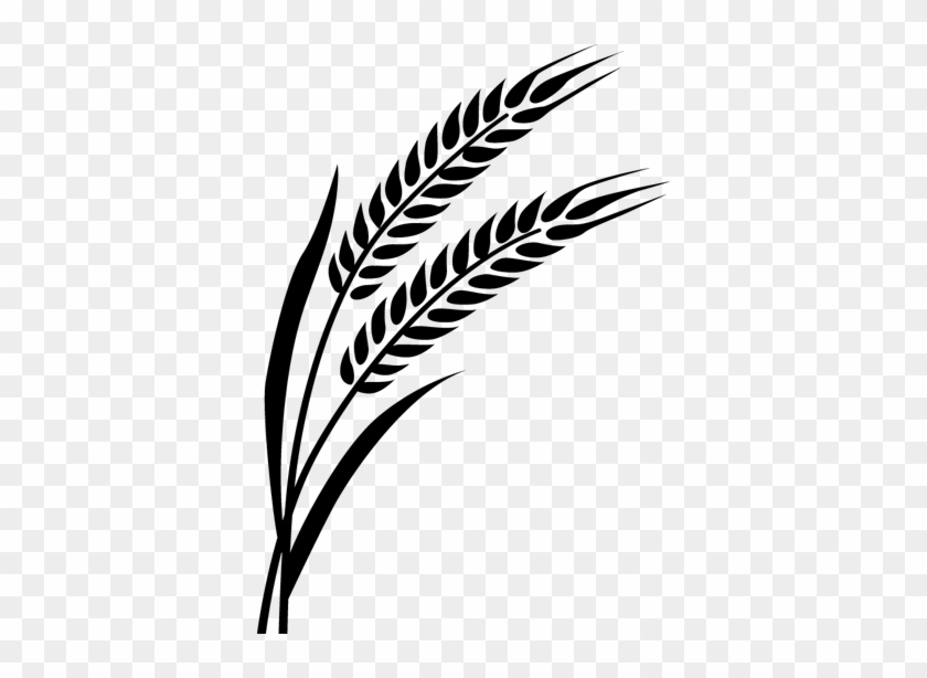 Wheat Decal - Wheat