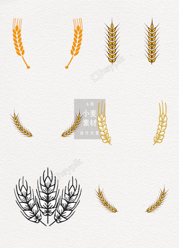 Wheat Design Element | Free Ai Download | PNG & Vector