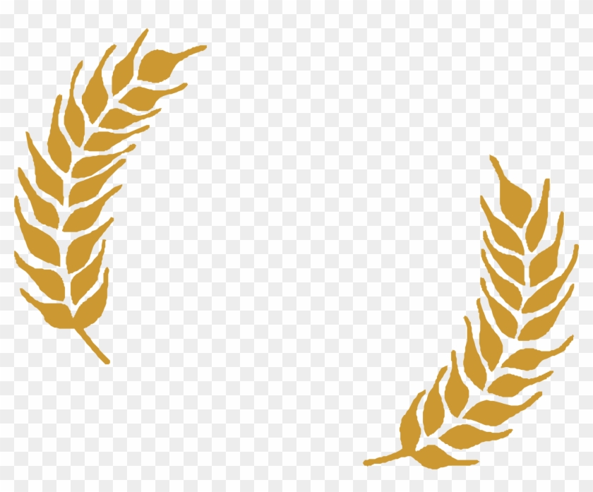 Wheat Ear Barley Clip Art - Wheat Vector