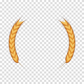 Wheat Ear Cereal, 2 ears of Wheat transparent background PNG clipart