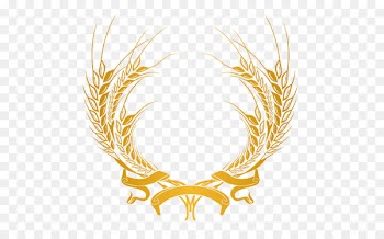 Wheat Ear Food grain Cereal Aartje - Symmetric vector golden wheat png 