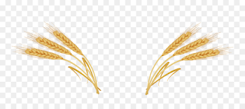 Wheat Ear Royalty-free Clip art - Vector wheat png download - 1453 ...