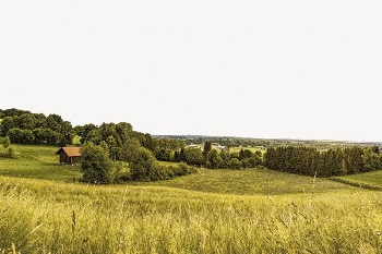 Wheat field background, agriculture border | Free PSD - rawpixel