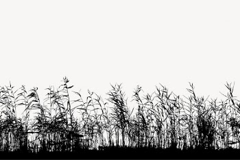 Wheat field silhouette border, nature | Free Photo - rawpixel