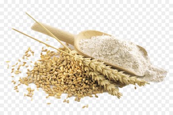 Wheat Flour Cereal Whole grain - Some poured face two wheat grains 