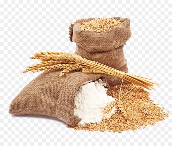Wheat flour Wheat flour Bread - wheat 
