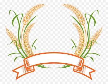 Wheat Logo Cereal Clip art - Wheat logo 