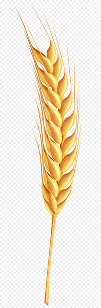 Wheat Royalty-free Clip art - Wheatear PNG Clip Art Transparent Image 