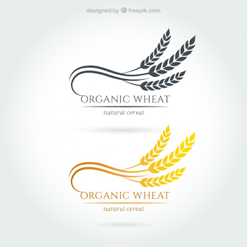 Wheat Vectors, Photos and PSD files | Free Download