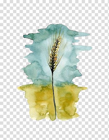 Wheat Watercolor painting, Yellow wheat transparent background PNG clipart