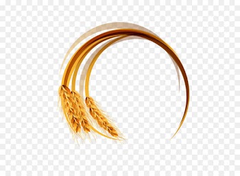 Wheat - Wheat logo 