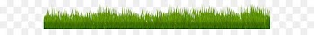 Wheatgrass Green Leaf Plant stem - Grass PNG Clip Art Image 