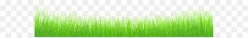 Wheatgrass Green Leaf Plant stem Wallpaper - Spring Grass Transparent PNG Clip Art Image 