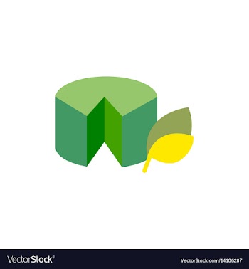Wheel of cheese vector image