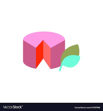Wheel of cheese vector image