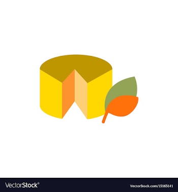Wheel of cheese vector image