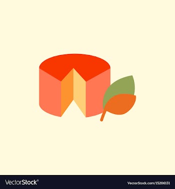 Wheel of cheese vector image