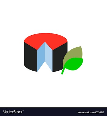Wheel of cheese vector image