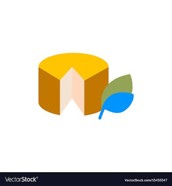 Wheel of cheese vector image