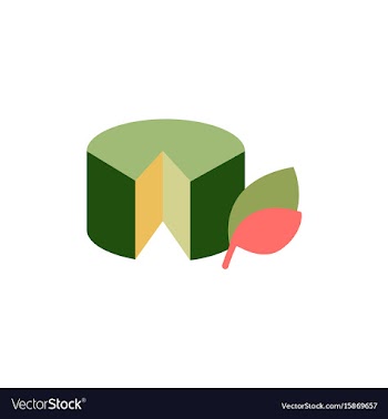 Wheel of cheese vector image