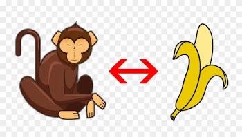 When A Monkey Eats A Banana, He Needs To Keep The Calories - Money Monkey And Bananas