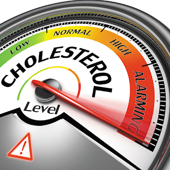 When Is Cholesterol Bad? - Blog | Healthy Options