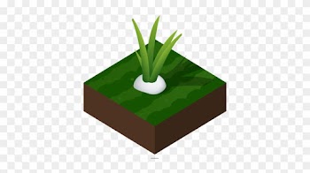 When You Start Your Garden, It's Natural To Have Lots - Grass
