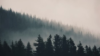 While on recent hiking trip, woke up early to notice the fog coming down from the mountain.