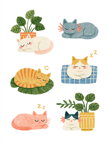 Whimsical Cats Sleeping in Cozy Positions