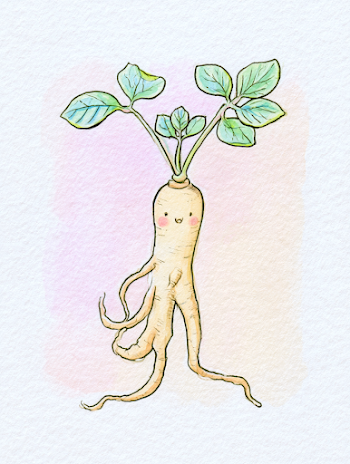 Whimsical Ginseng Root Illustration