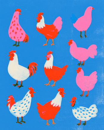Whimsical Hand-Drawn Chickens Illustration