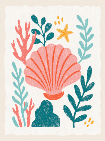 Whimsical Sea Shell Illustration