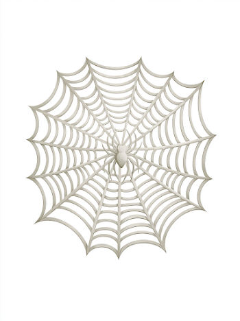 Whimsical Spider Web Illustration