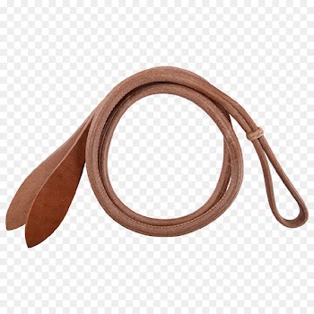 Whip, Strap, Barrel Racing, Brown, Leather PNG