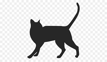 Whiskers Black cat Dog Domestic short-haired cat - cat 