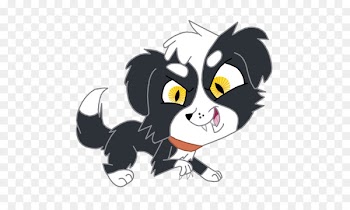 Whiskers Border Collie Cat Rough Collie Canidae - cq frame 